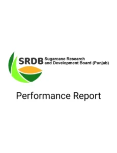 Performance Report Cover 230x300
